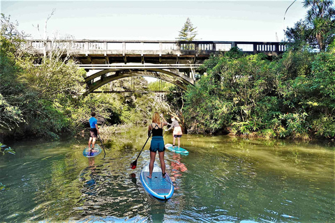 Excursión SuP a la Cascada de Lucas Creek