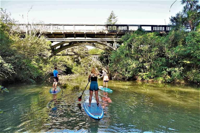 Excursión SuP a la Cascada de Lucas Creek