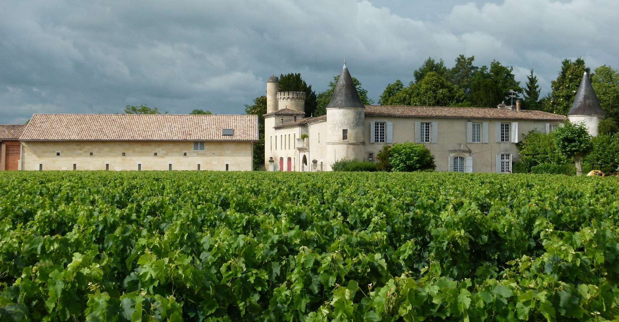 Château Cruzeau Winery Tour with Wine and Chocolate Tasting - Housity