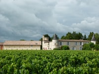 Château Cruzeau Winery Tour met wijn en chocoladeproeverijen - Housity