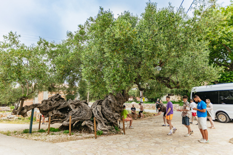 Zakinthos: excursão terrestre e marítima à praia dos naufrágios e às cavernas azuisExcursão em Grupo