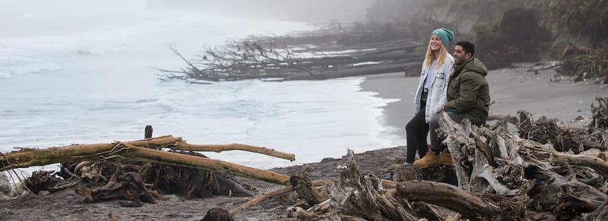 Excursion d'une journée de Franz Josef à Queenstown