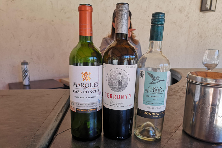 Tour de vinhos com 7 degustações + transporte particular + Lapis Lazuli