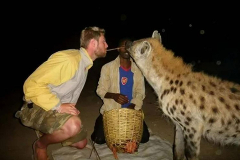 2 Tage Harar Stadtführung &amp; Hyänenfütterung