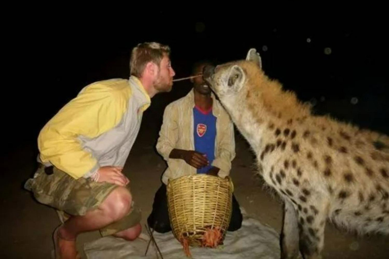 2 Tage Harar Stadtführung &amp; Hyänenfütterung