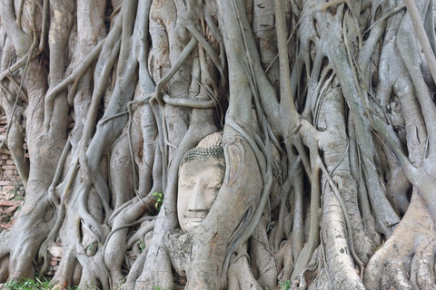 曼谷：大城一日游含游船午餐曼谷：大城一日游含游船与午餐