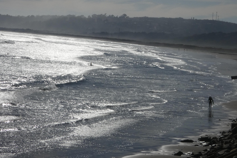 From Valparaíso: Concón Birdwatching & Sunset SUP Tour