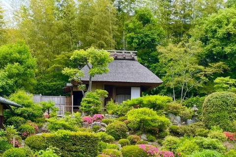 Kyoto's Gold & Secret Garden: Craft & Matcha