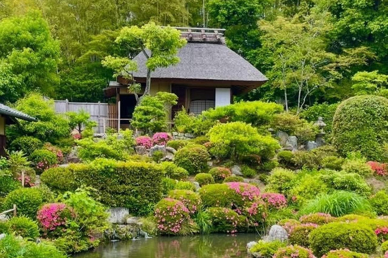 Kyoto's Gold & Secret Garden: Craft & Matcha