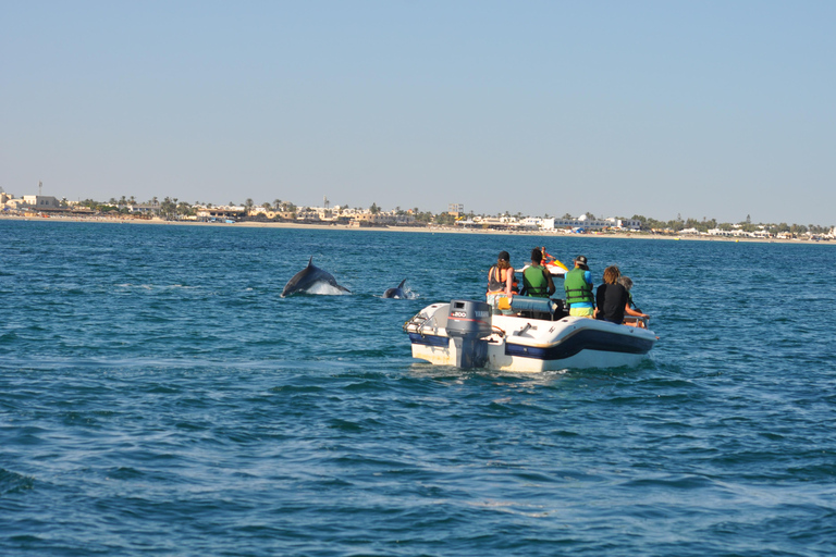 Djerba: Sunset cruise tour, dolphin watching + drinks