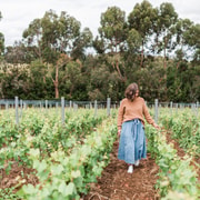 Ten Minutes by Tractor: Fine Wine & Gastronomy Experience