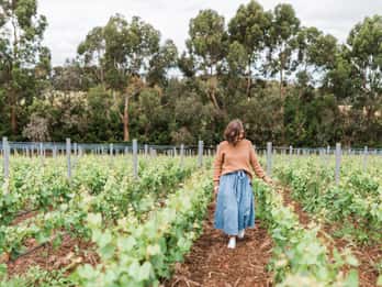 Ten Minutes by Tractor: Fine Wine & Gastronomy Experience