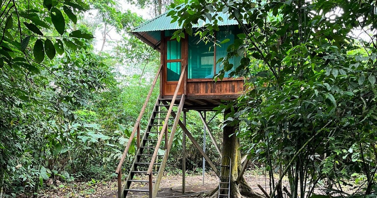Manu Jungle Tour 3 Days | GetYourGuide