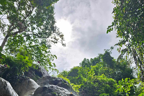 Chiangmai : Cascada pegajosa &amp; Tierra de ángeles &amp; Wat ban den.