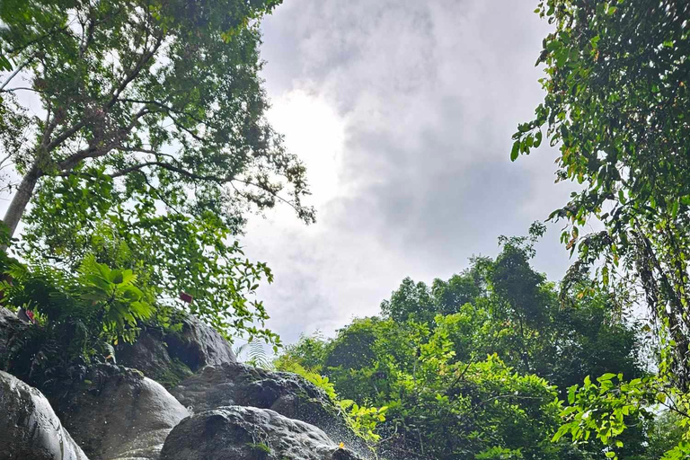 Chiangmai : Sticky waterfall &amp; Land of angels &amp; Wat ban den.