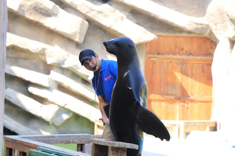 Abu Dhabi: Zoológico do Emirates Park