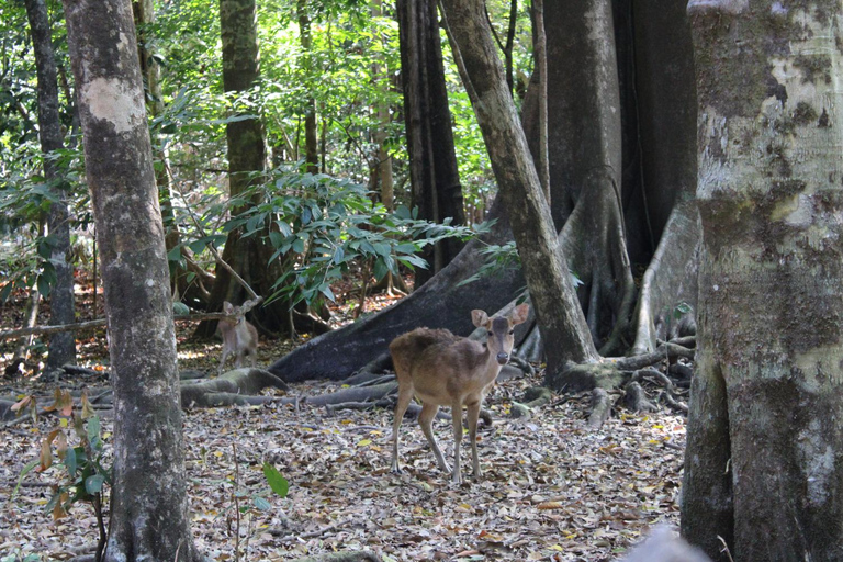 Peucang Island: 3-Day Ujung Kulon National Park EcoTour