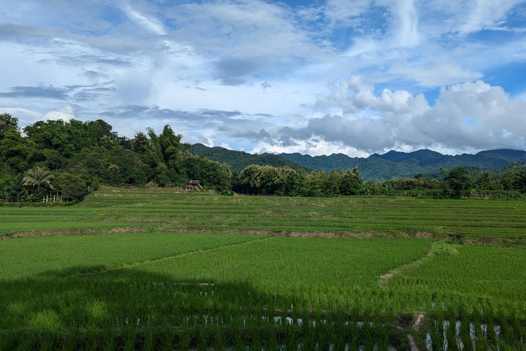 Kuang Si Waterfalls Hiking Adventure &amp; Morning Mekong Cruise
