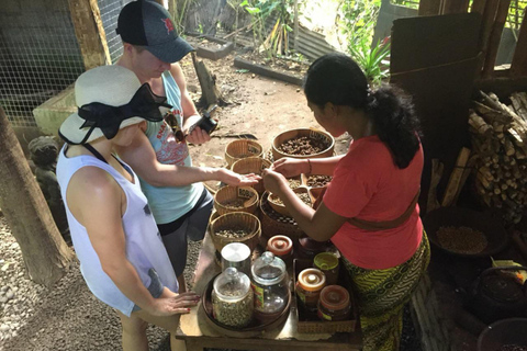 Mount Batur Trekking Sunrise-Hot Spring-Coffee Plantations Mount Batur Trekking Only