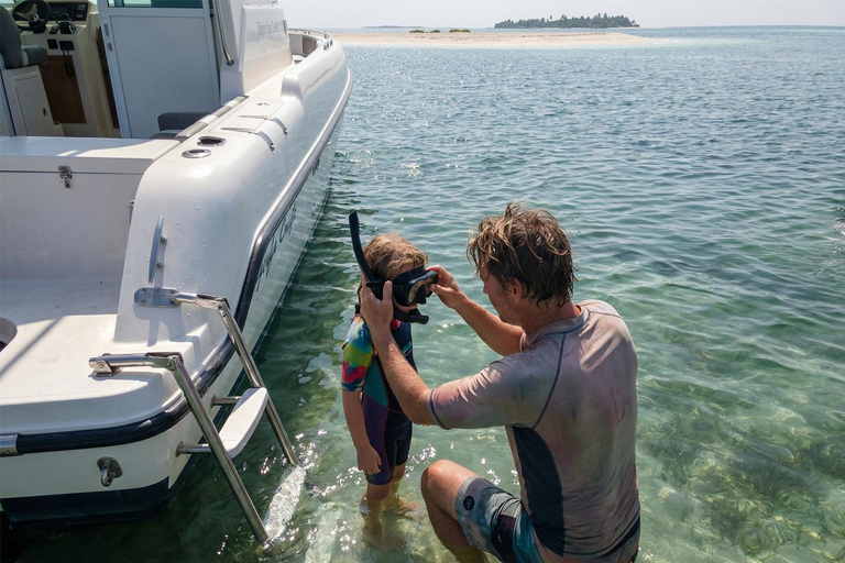Abu Dhabi: Dolphin Boat Tour with Swim, Lunch, and Transfer