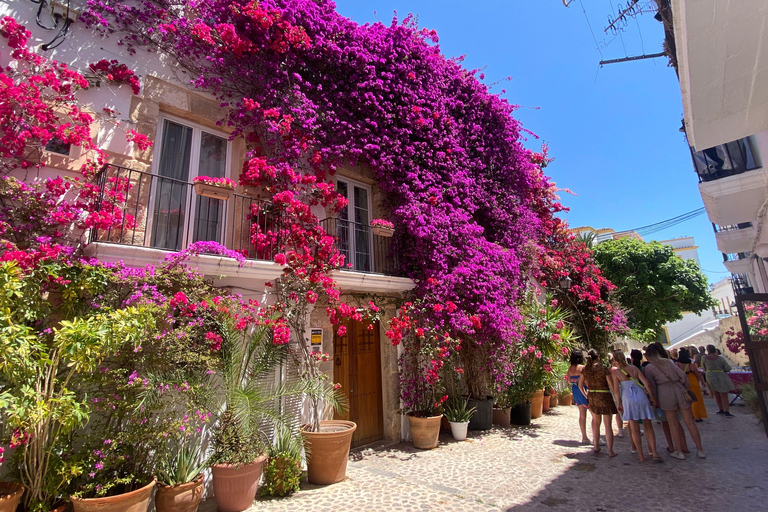 Ibiza: Tour a piedi di Dalt Vila con il laboratorio di Sangría