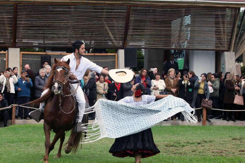 From Trujillo | Marinera show with Peruvian Paso horses