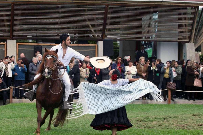 Van Trujillo | Marinera show met Peruaanse Paso paarden