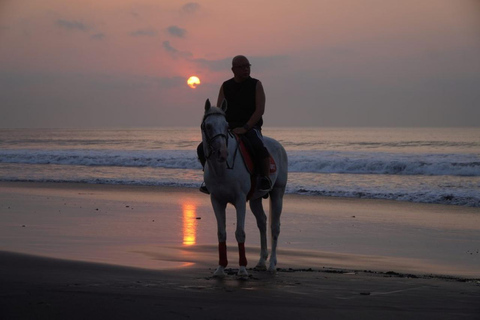 Bali: Bali Beach Horse riding Experience Horse Riding Beach 1 Hour No Transport