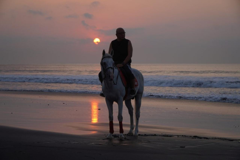 Bali : Randonnée à cheval sur la plage de BaliEquitation Plage 30 minutes Pas de transport