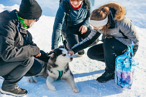 Vanuit Tromsø: Sneeuwpark Ice Domes en Wildernis Experience