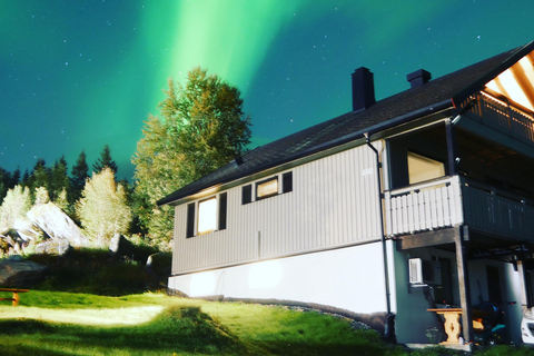 Harstad/Narvik/Tjeldsund : Observation des aurores boréales en voiture