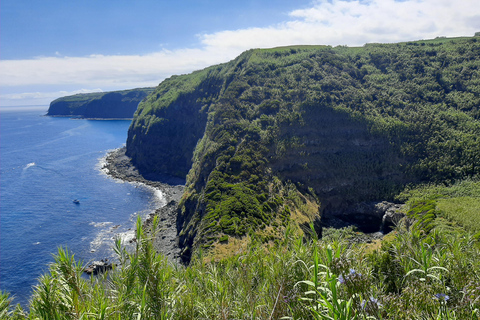 São Miguel: Moinho do Felix-Wanderung mit Besuch der Teefabrik