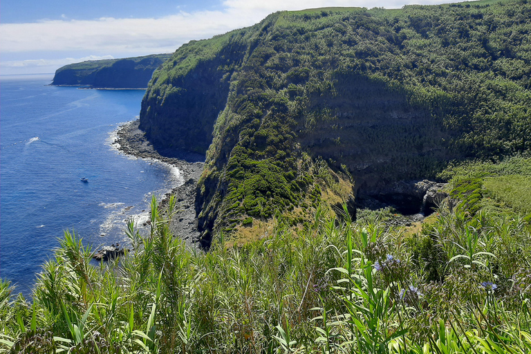 São Miguel: Moinho do Felix-Wanderung mit Besuch der Teefabrik