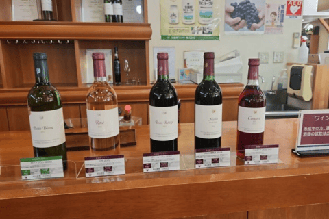 عروض خاصة لخريف ناغانو: كاميكوتشي ومزرعة ومصنع النبيذ واسابيرحلة ليوم واحد إلى كاميكوتشي الجبلية +