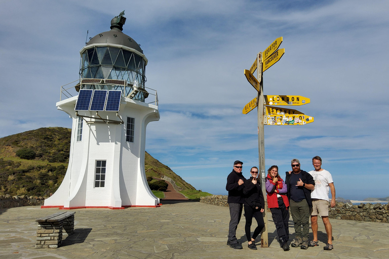 Neuseeland: Geführte 43-tägige Nordinsel Tour mit Camping