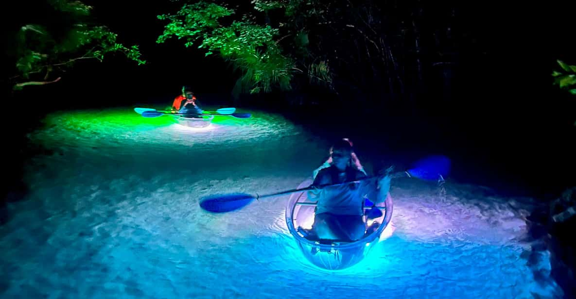 Rainbow Springs: Clear Kayak Sunset & Glow Tour | GetYourGuide