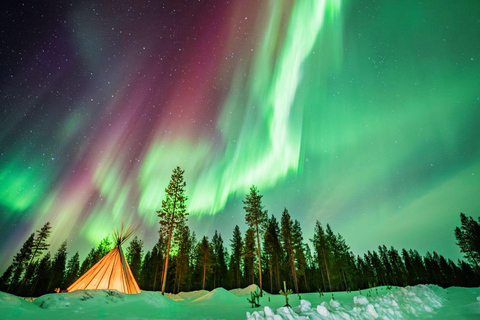 Rovaniemi: Guaranteed Northern Lights Photo Tour Guaranteed Northern Lights Photo Tour with Van (2-8 people)