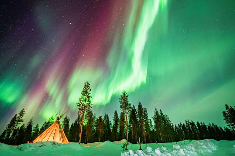 Rovaniemi: Guaranteed Northern Lights Photo Tour Guaranteed Northern Lights Photo Tour with Van (2-8 people)