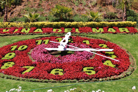 Chili : excursion d&#039;une journée à Viña del Mar et Valparaíso au départ de SantiagoVisite privée en chinois