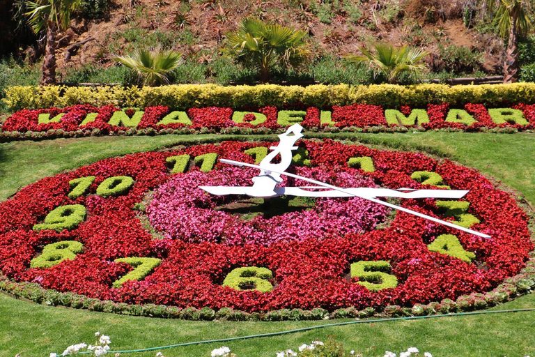 Chili : excursion d&#039;une journée à Viña del Mar et Valparaíso au départ de SantiagoVisite privée en chinois