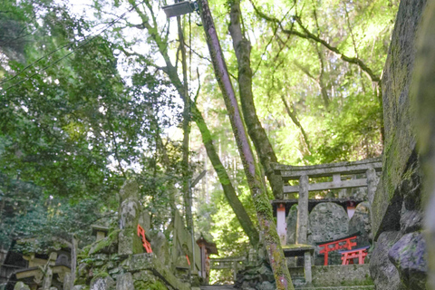 Kyoto: Excursão de caminhada escondida de 3 horas no Santuário Fushimi Inari