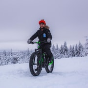 Rovaniemi: aventura invernal en bicicleta de montaña con fotografía