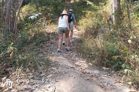 Chiang Mai: Private Jungle Trek and Bamboo Rafting Tour
