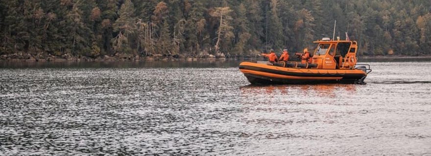 Nanaimo : Tour en bateau pour l'observation des baleines