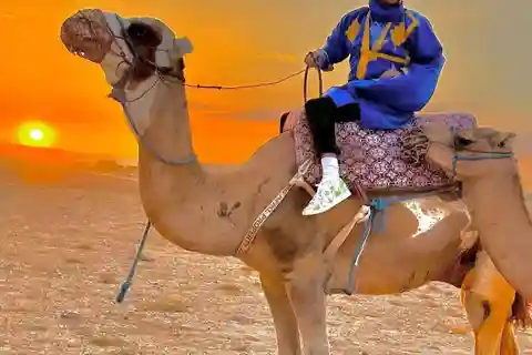 Agafay Desert: Sunset Camel Ride, Moroccan Dinner & Show