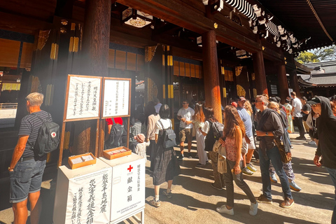 Tour privato di un giorno di Tokyo con autista parlante inglese