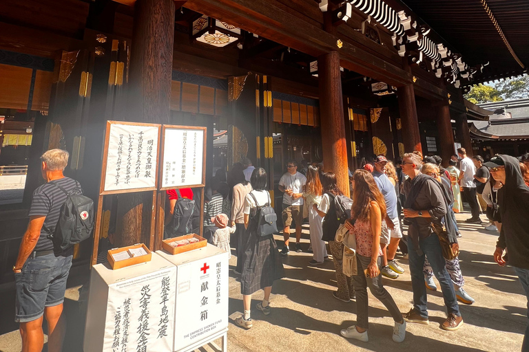 Tour privato di un giorno di Tokyo con autista parlante inglese