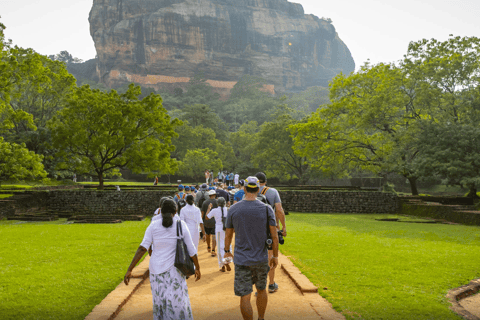 Anuradhapura: Sigiriya Fortress and Habarana Safari Tour