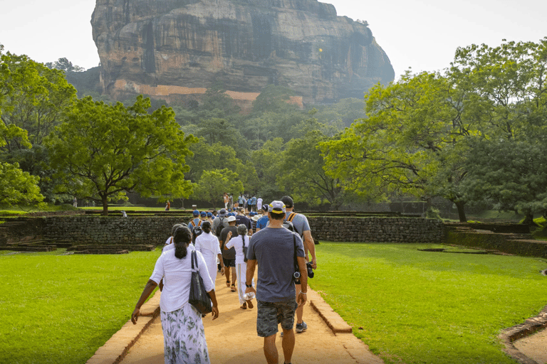 Anuradhapura: Sigiriya Fortress and Habarana Safari Tour