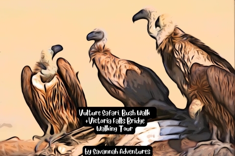 Chutes Victoria, safari des vautours, promenade dans le bush et visite du pont